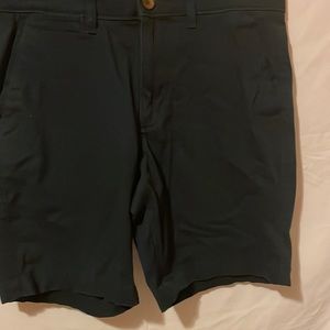 These navy blue shorts are slightly used and in excellent condition.